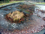 Princíp fungovania odmrazovania záhradných jazierok počas zimy