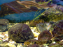 O použití a umiestnení kameňov v akváriach
