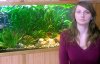 Odpovede a návody ohľadom chovu Zlatých rybiek - Zuzana